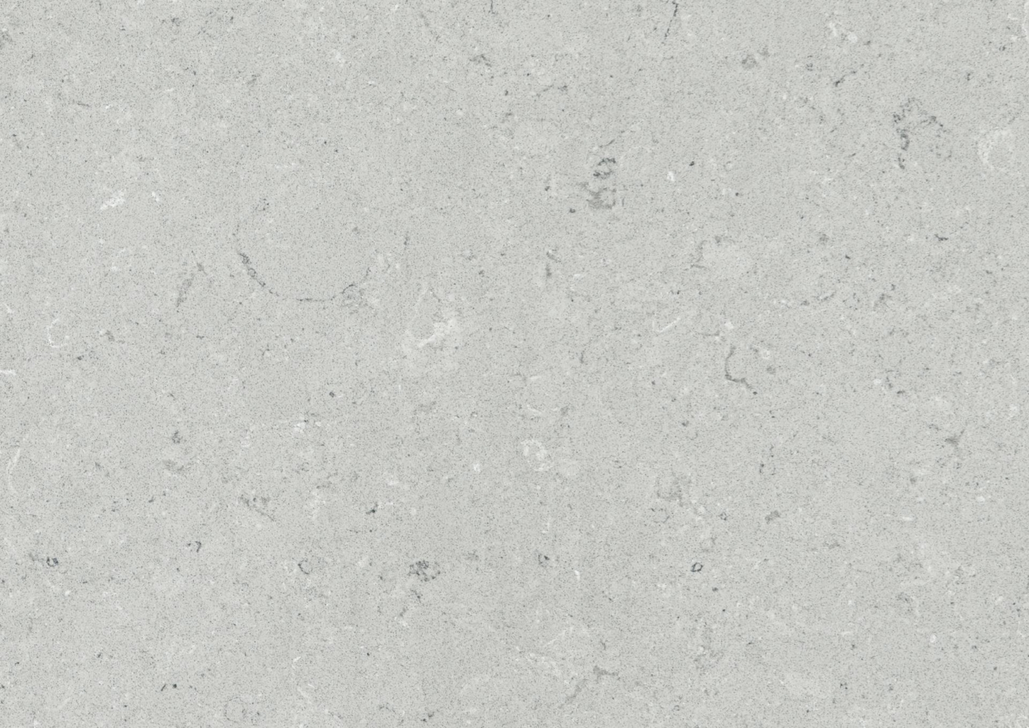 4130 Clamshell - Classico in Quartz | Shop 4130 Clamshell - Classico in ...